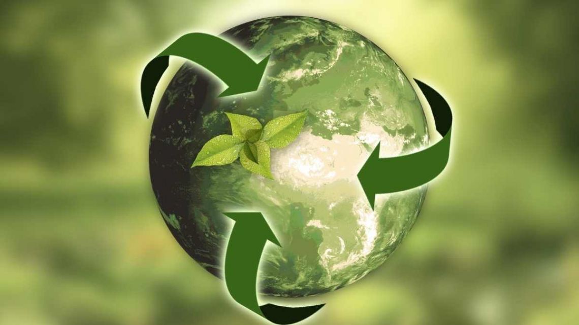 Tri točke za uspešno preobrazbo v trajnostno gospodarstvo