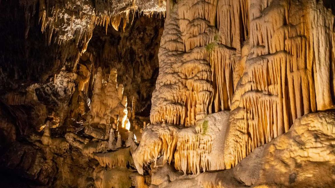 V Postojnski jami pred 200 leti prvi na svetu organizirali vodniško službo